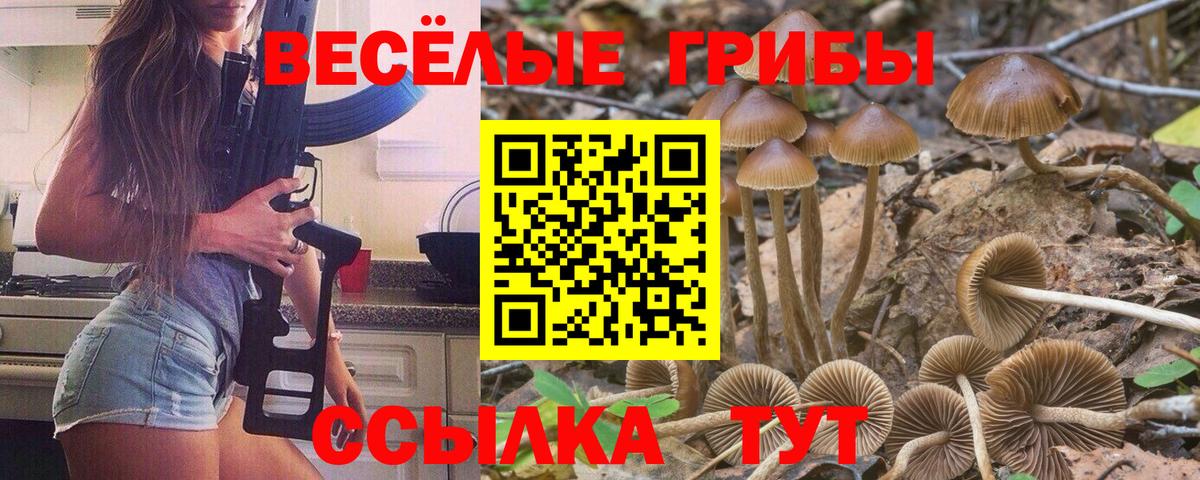 Галлюциногенные грибы мухоморы Каменск-Шахтинский