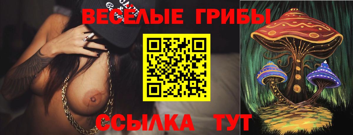 Каменск-Шахтинский  Псилоцибиновые грибы Psilocybe  Псилоцибиновые грибы ЛСД  Вход с VPN 